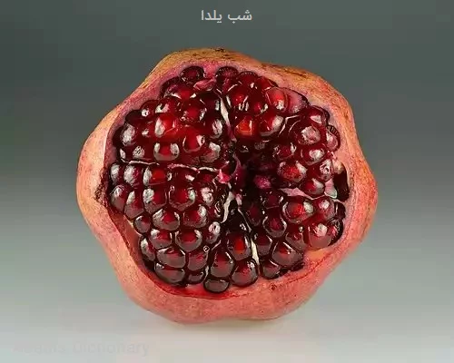 شب یلدا